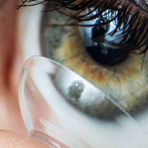 Gözlük, Optik Lens ve Aksesuarlarının Temizliği